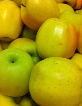 Apple 'Golden Delicious'