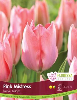 Tulip 'Pink Mistress'