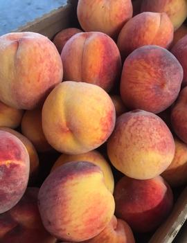 Peach 'Baby Gold 5'