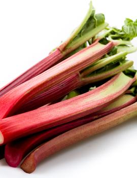 Rhubarb 'Victoria'