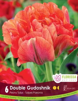 Tulip 'Double Gudoshnik'