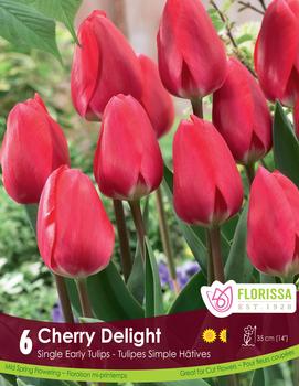 Tulip 'Cherry Delight'