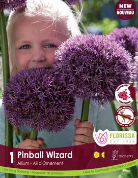 Allium x 'Pinball Wizard'