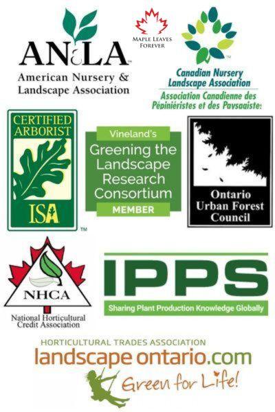 Membership Associations