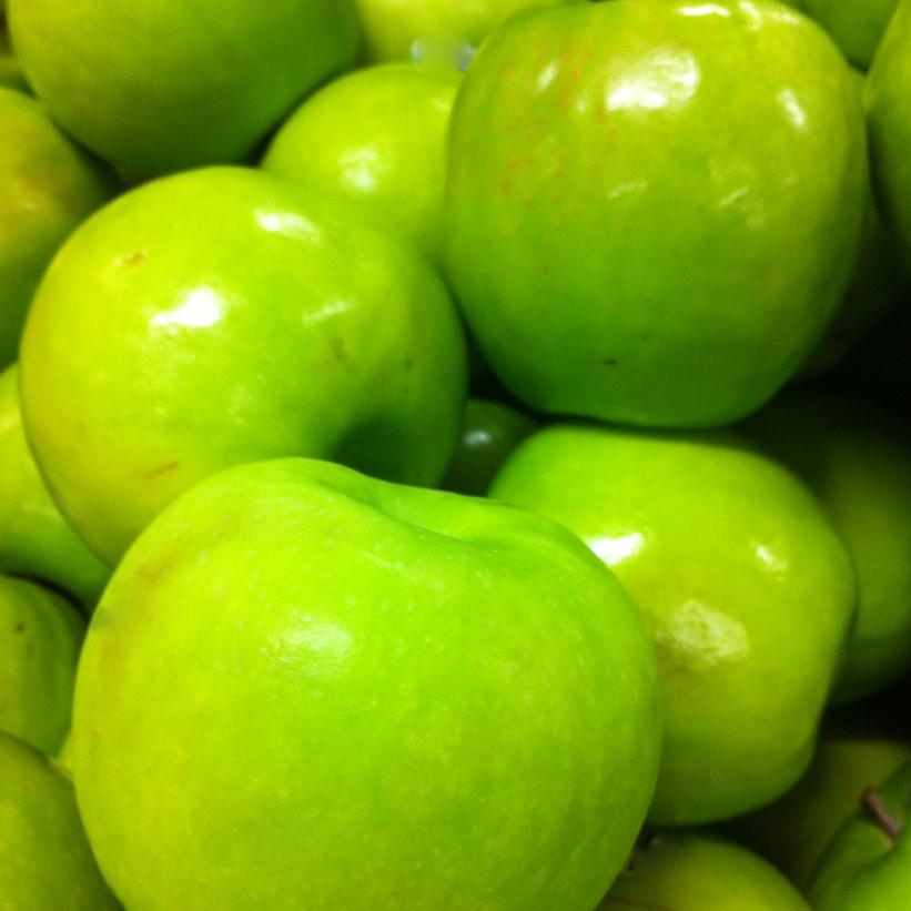 Malus domestica 'Granny Smith' (Semi-Dwarf Apple)