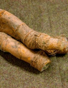 Horseradish