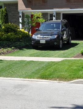 Porous Paving System